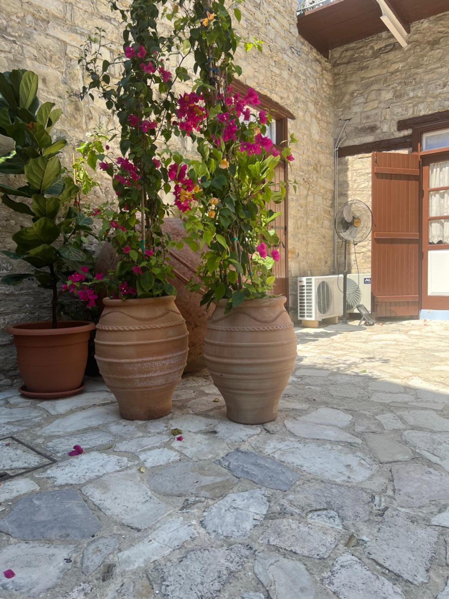 Villa Theodorou Lefkara Exterior photo